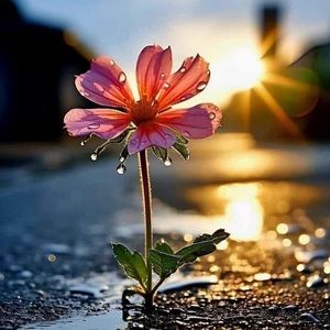 Meet your Posher, Mandy